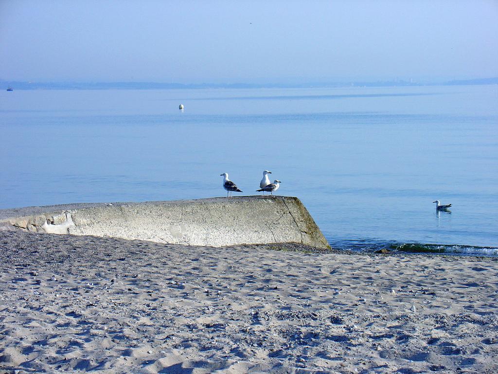 Fewo Machedanz Zentrumsnah & Ruhig Timmendorfer Strand Extérieur photo